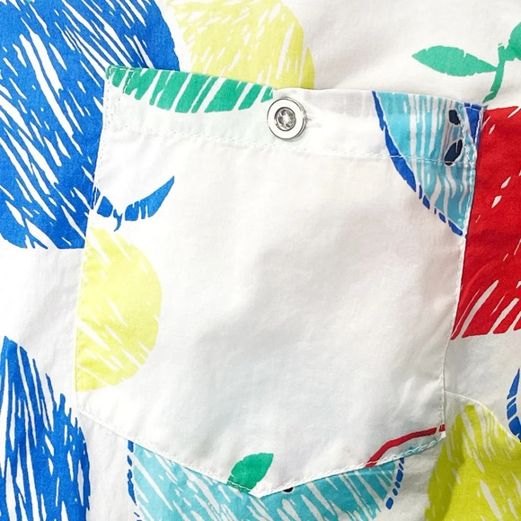 Talbots Teacher Apple Print Long Sleeve Button Down Shirt Sketch Apple Pattern - Picture 8 of 8